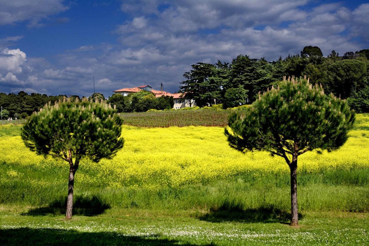Residence Agata Nova Vas (Porec) Exterior foto